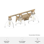 Hunter 48035 Alturas Gold Van Nuys Alturas Gold With Clear Glass 3 Light Vanity Wall Light Fixture Image 2