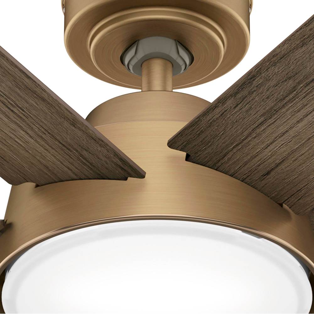 Hunter 51852 Burnished Brass 52 Inch Donatella Burnished Brass Ceiling Fan With Led Light Kit And Handheld Remote Image 6