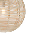 Hunter Berkeley Brushed Nickel 1 Light Large Pendant Ceiling Light Fixture