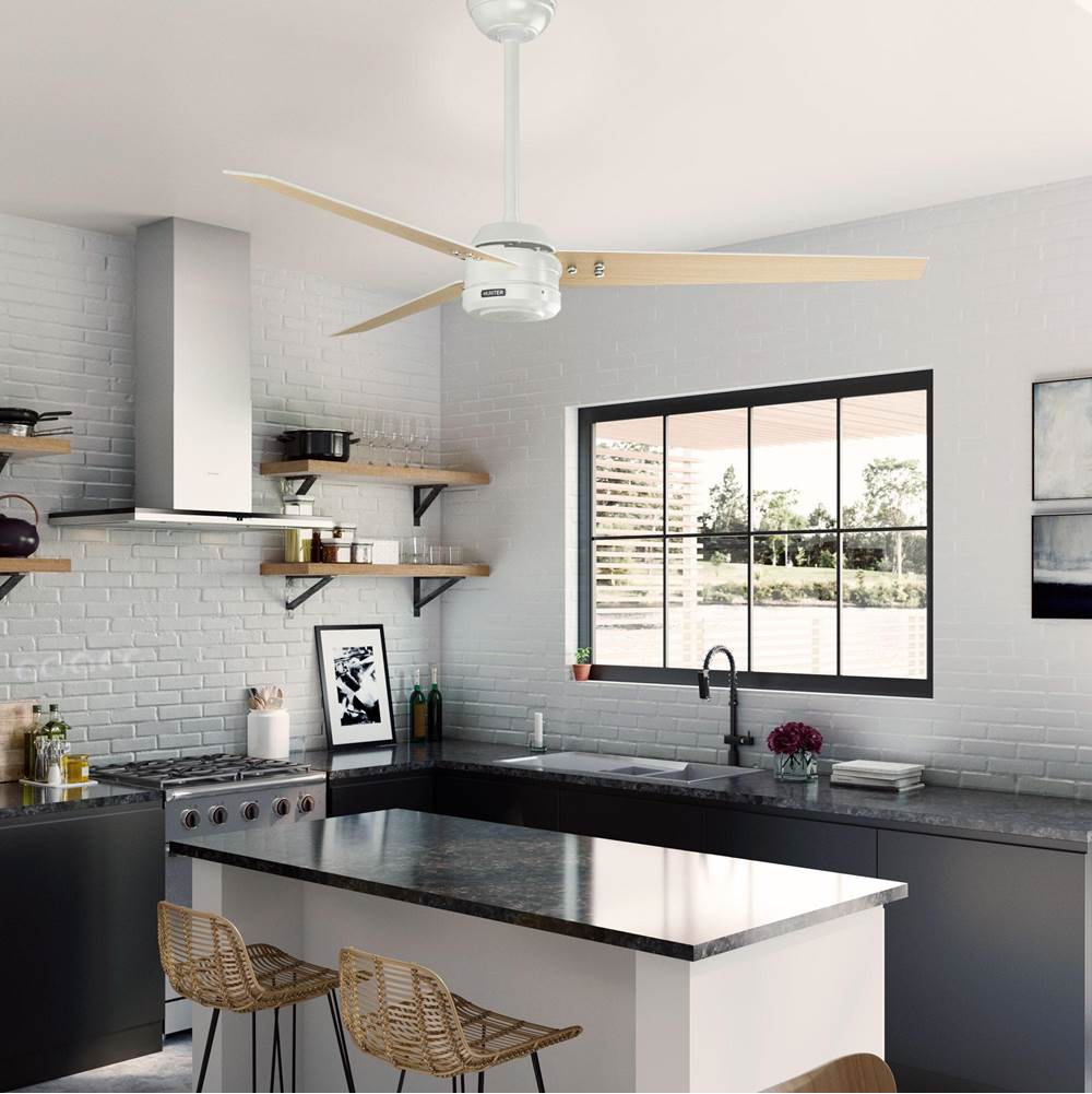 Hunter 52980 Fresh White 60 Inch Cassius Energy Star Fresh White Damp Rated Ceiling Fan And Wall Control Image 4