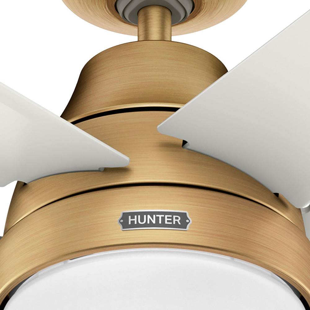 Hunter 53783 Luxe Gold 60in Aerodyne With Reversible Blades - Luxe Gold Image 3