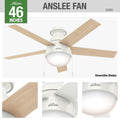 Hunter 59269 Fresh White 46'' Anslee Lp-fresh White Image 1