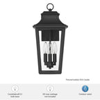 Hunter 46082 Matte Black Hunter Spring Cove Matte Black With Clear Glass 3 Light Image 6