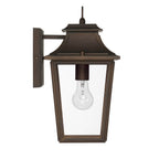 Hunter 46081 Matte Bronze Hunter Spring Cove Matte Bronze With Clear Glass 1 Light Image 3