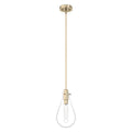 Hunter 19560 Palm Gold Hunter Lundin Palm Gold 1 Light Pendant Ceiling Light Fixture Image 1