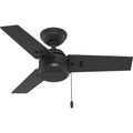 Hunter 50320 Matte Black 36 Inch Cassius Matte Black Image 1