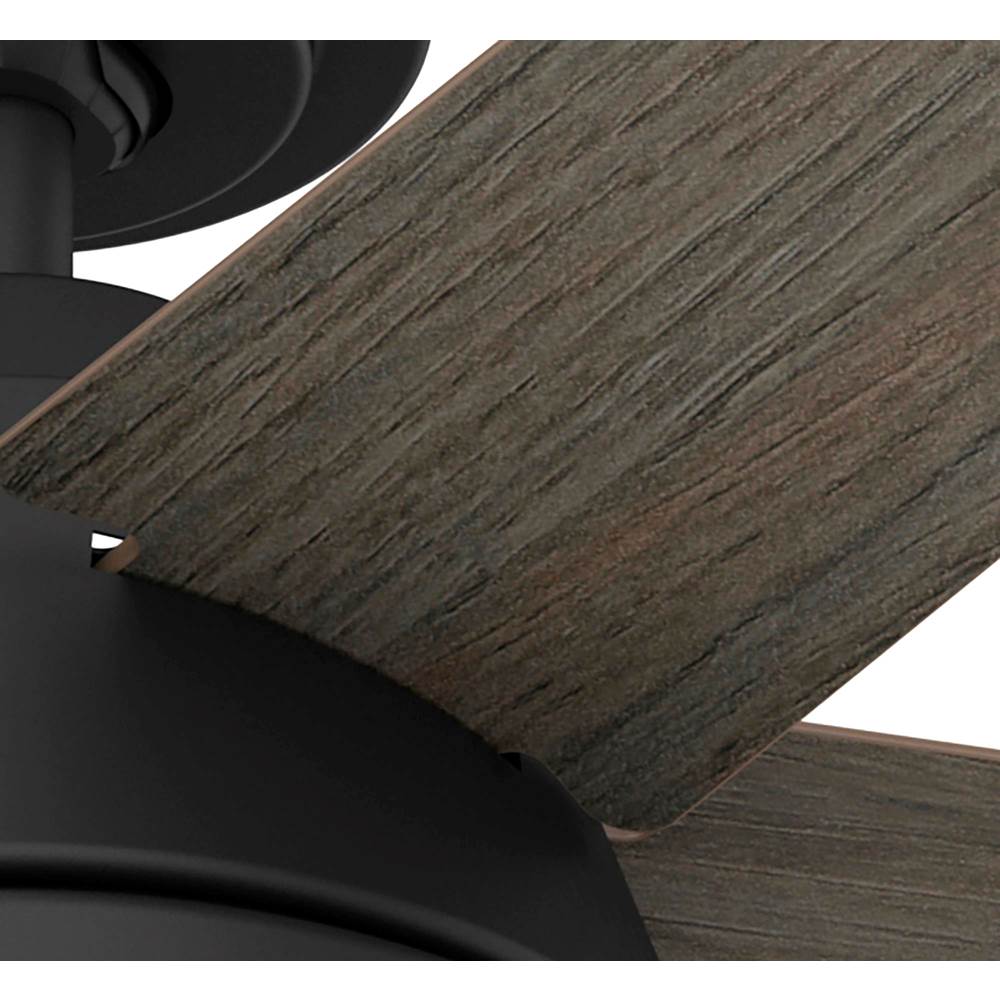 Hunter 52422 Matte Black 52in Burroughs - Flat Matte Black Image 9