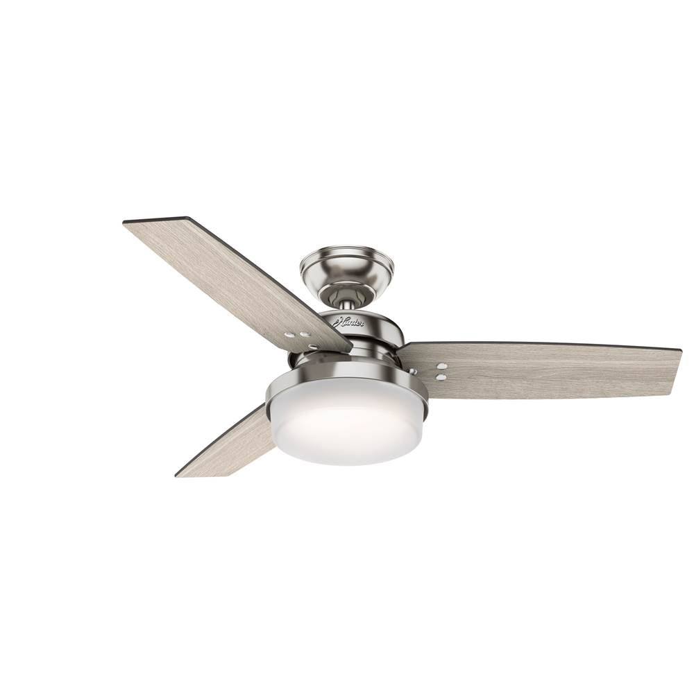 Hunter Sentinel 44'' Sentinel -brushed Nickel