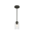 Hunter 19013 Noble Bronze Hartland 1 Light Pendant Image 1