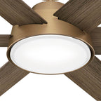 Hunter 51852 Burnished Brass 52 Inch Donatella Burnished Brass Ceiling Fan With Led Light Kit And Handheld Remote Image 8