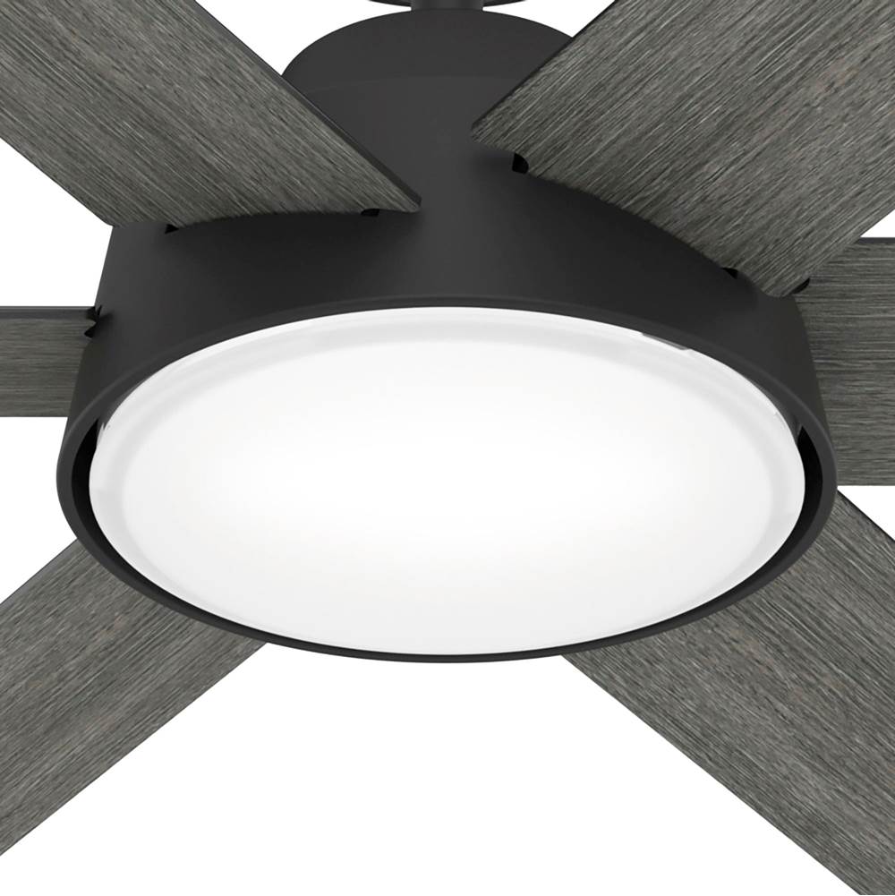 Hunter Donatella 52 Inch Donatella Matte Black Ceiling Fan With Led Light Kit And Handheld Remote