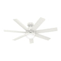 Hunter 52375 Fresh White 52 Inch Brazos Fresh White Damp Rated Ceiling Fan With Led Light Kit And Handheld Remote Image 1