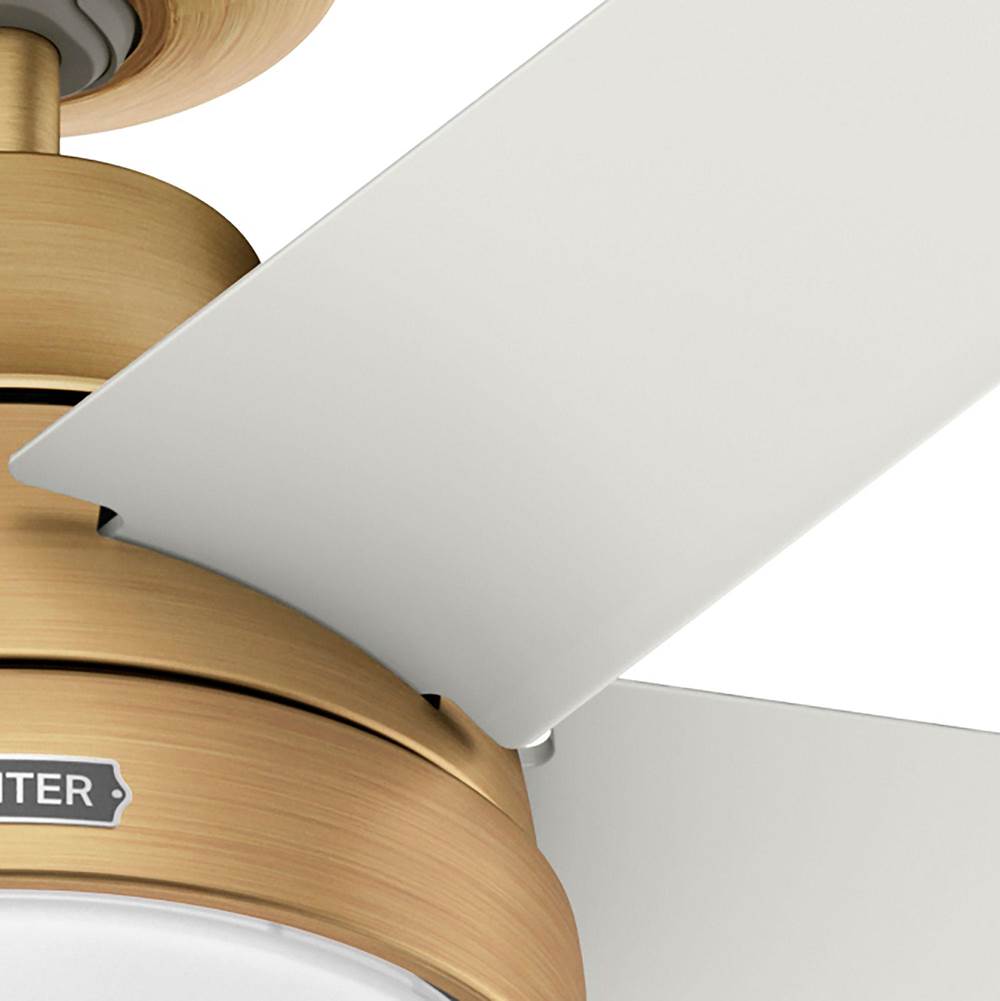 Hunter 53783 Luxe Gold 60in Aerodyne With Reversible Blades - Luxe Gold Image 4