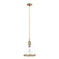 Hunter Van Nuys Van Nuys 1 Light Pendant 10 Inch
