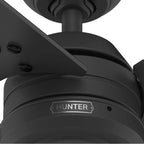 Hunter 50320 Matte Black 36 Inch Cassius Matte Black Image 5