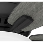 Hunter 52396 Matte Black 52 Inch Newsome Matte Black Low Profile Ceiling Fan With Led Light Kit And Pull Chain Image 9