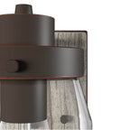 Hunter Devon Park Devon Park Onyx Bengal And Barnwood With Clear Glass 1 Light Sconce Wall Light Fixture
