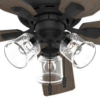 Hunter Rosner 52 Inch Rosner Matte Black Ceiling Fan With Led Light Kit And Pull Chain