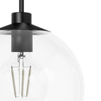 Hunter Xidane Matte Black With Clear Glass 1 Light Pendant Ceiling Light Fixture