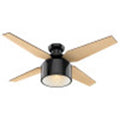 Hunter 59259 Gloss Black 52'' Cranbrook Lp-gloss Black Image 1