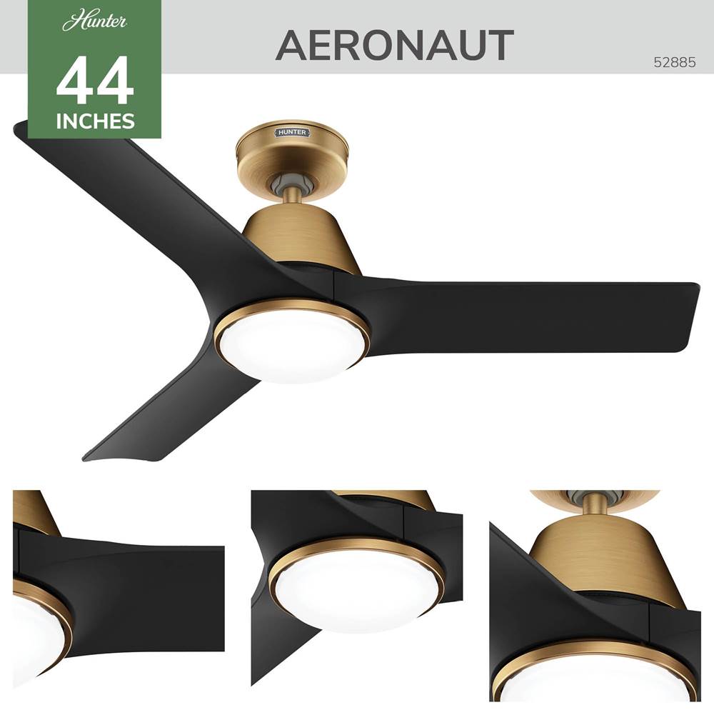 Hunter 52885 Luxe Gold 44 In Aeronaut - Luxe Gold / M Image 6