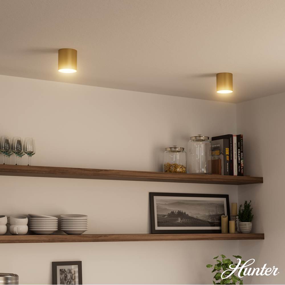 Hunter 13125 Luxe Gold Canoga Luxe Gold 1 Light Small Flush Mount Ceiling Light Fixture Image 4