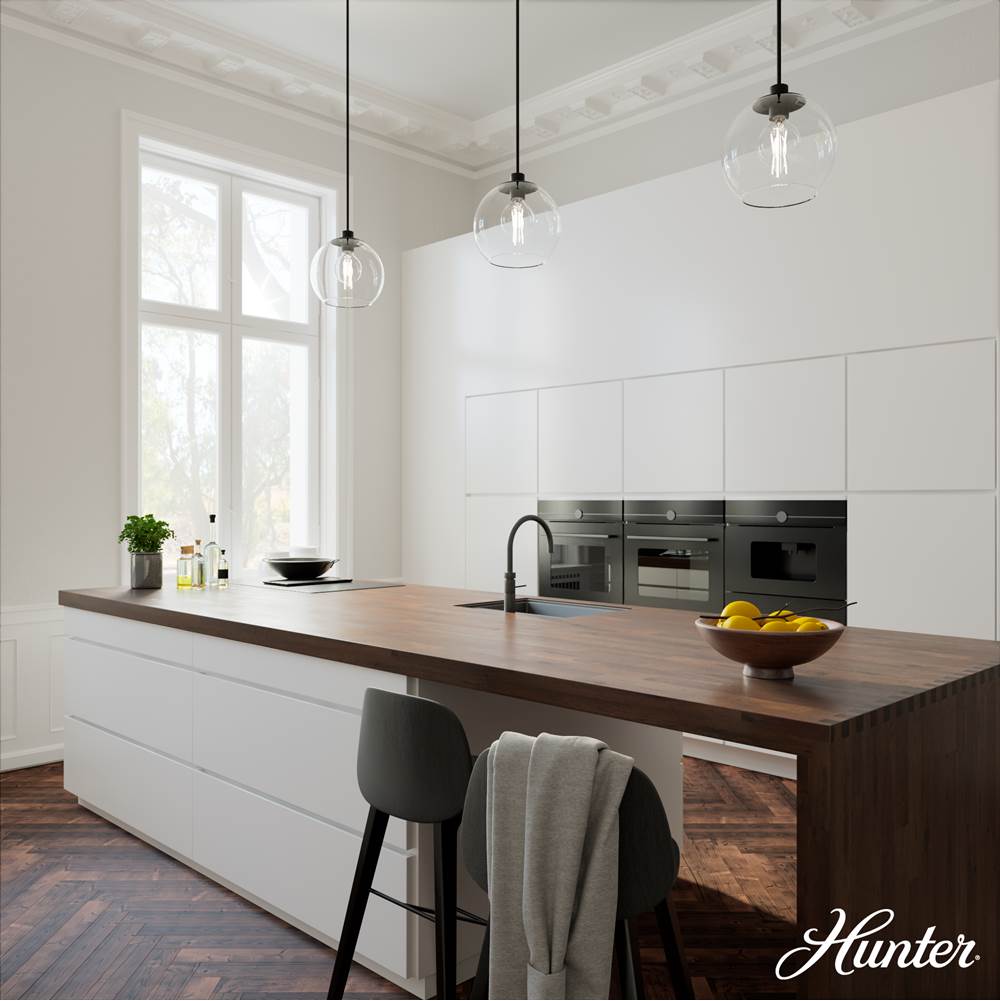 Hunter 19512 Matte Black Xidane Matte Black With Clear Glass 1 Light Pendant Ceiling Light Fixture Image 5