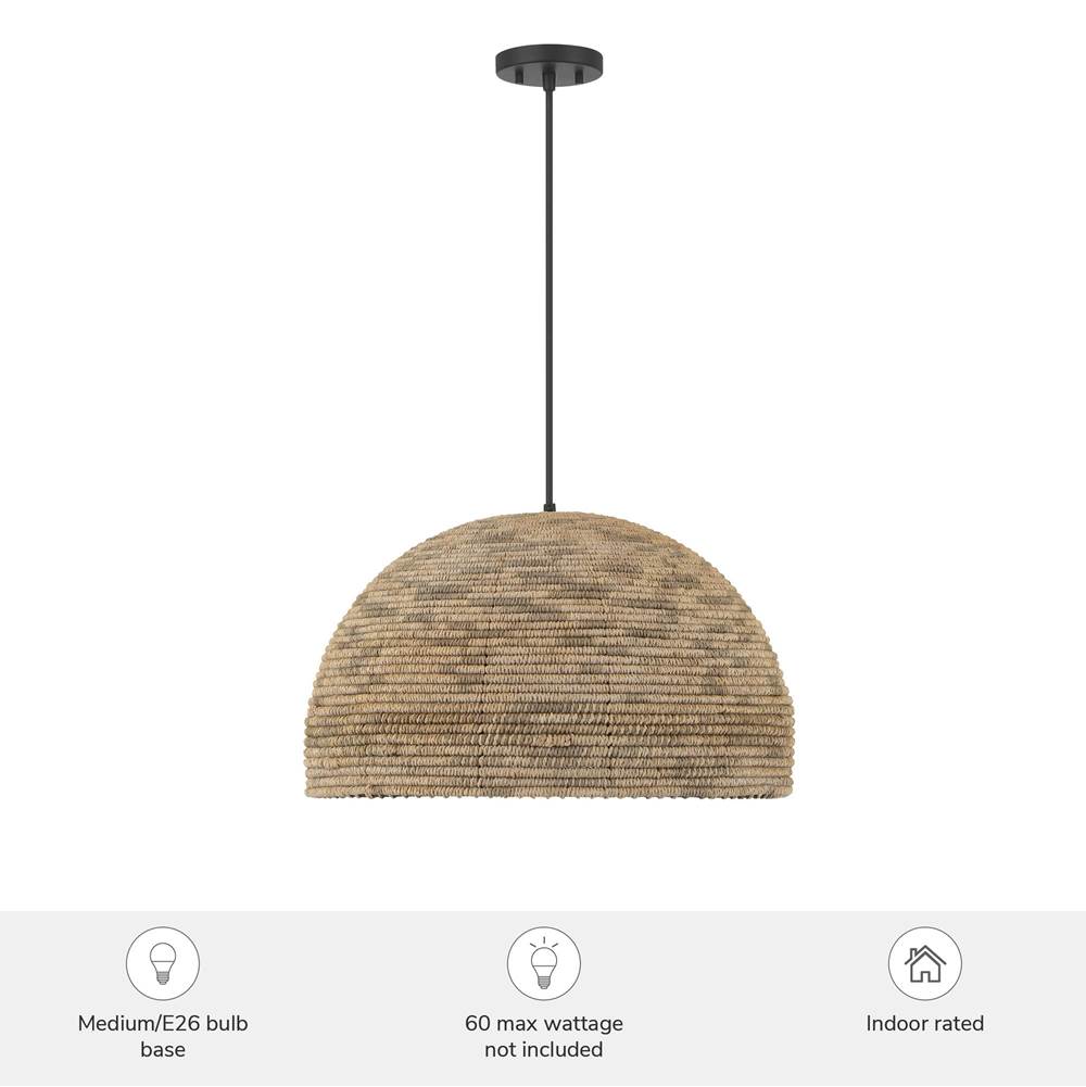 Hunter 48265 Matte Black Hillmount 1 Light Large Pendant Brown Image 3