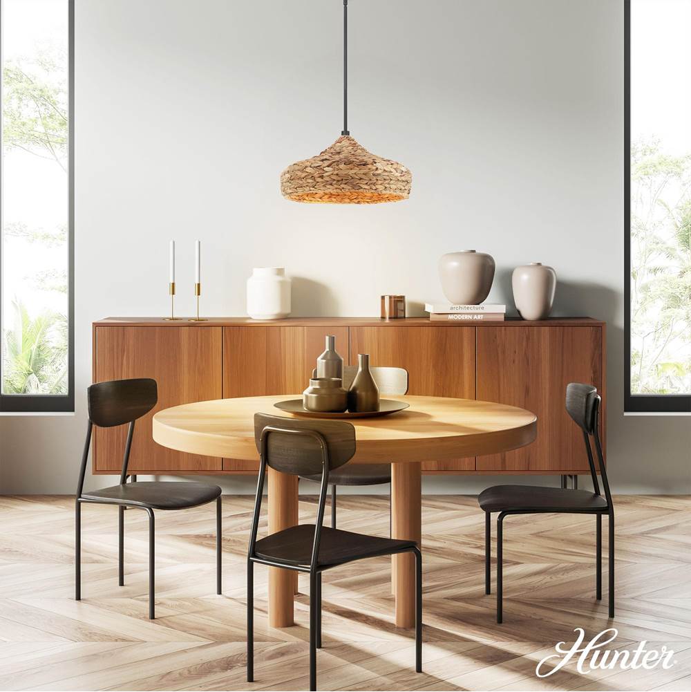 Hunter 49028 Matte Black Cambria Matte Black 1 Light Large Pendant Ceiling Light Fixture Image 2