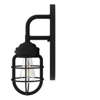 Hunter 19668 Natural Iron Hunter Starklake Natural Iron 1 Light Sconce Wall Light Fixture Image 2