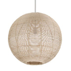 Hunter 48087 Brushed Nickel Berkeley Brushed Nickel 1 Light Large Pendant Ceiling Light Fixture Image 1