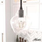 Hunter 19648 Noble Bronze Dunshire 1 Light Pendant 6 Inch Image 3