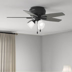 Hunter 52393 Matte Black 42 Inch Newsome Matte Black Low Profile Ceiling Fan With Led Light Kit And Pull Chain Image 3