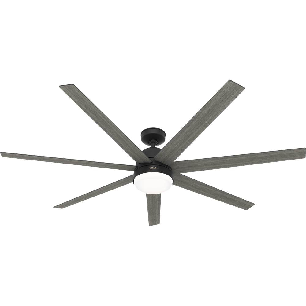 Hunter Phenomenon 70'' Phenomenon - Matte Black