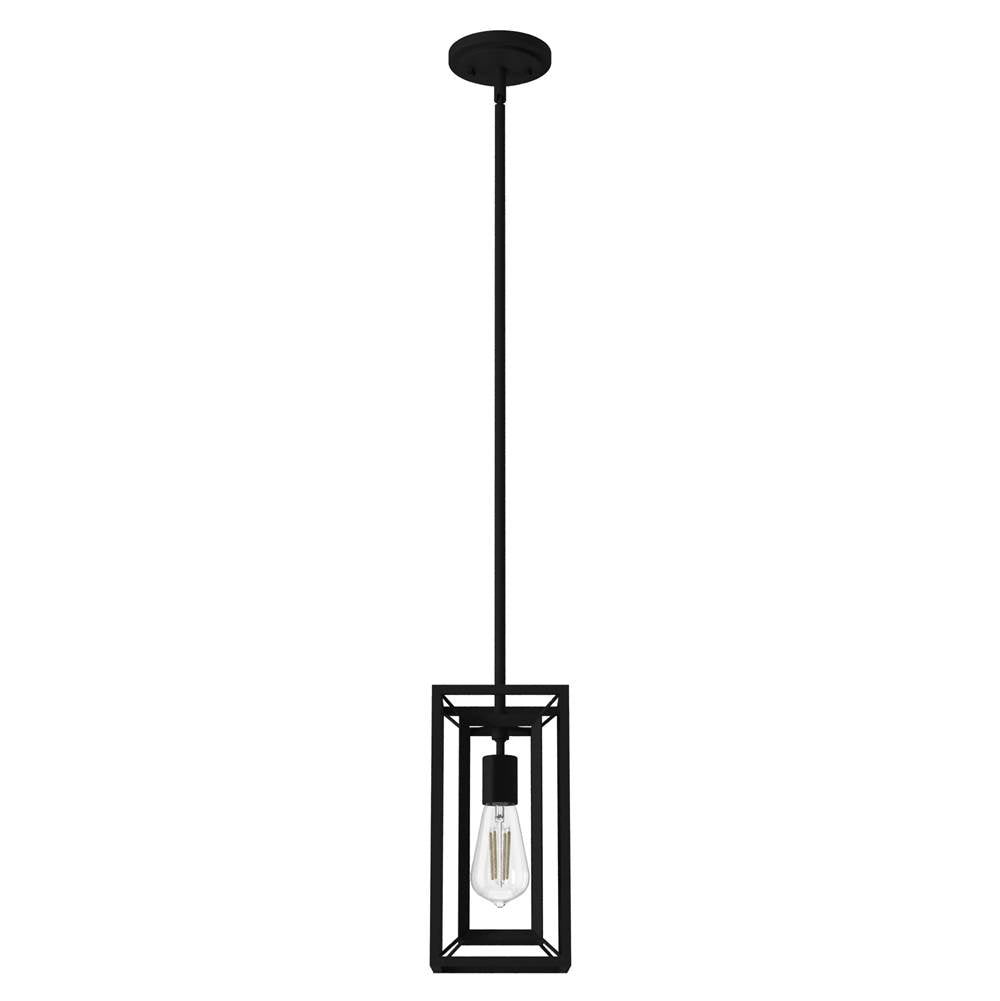 Hunter 19755 Natural Iron Doherty 1 Light Mini Pendant Image 1