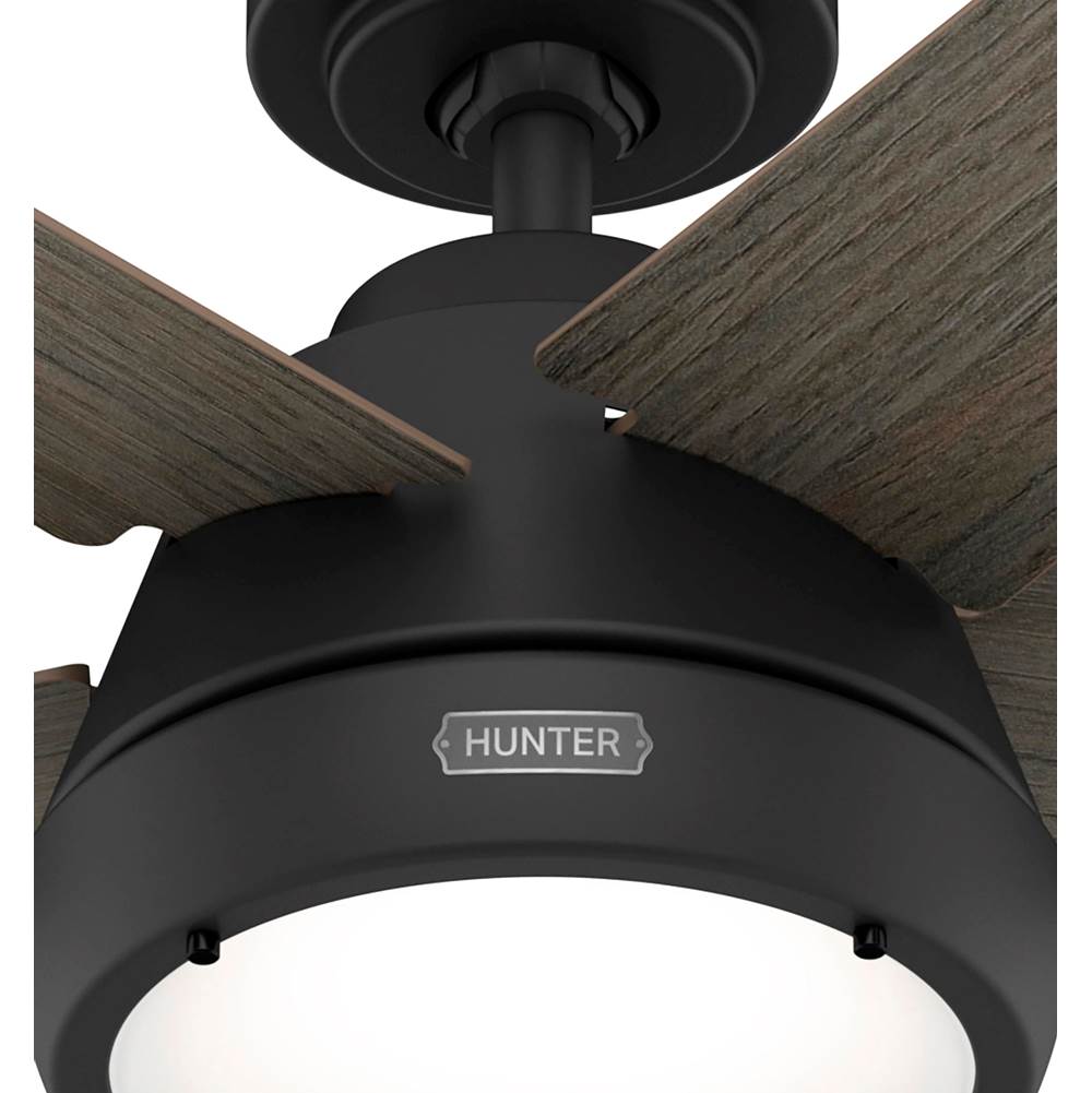 Hunter 52422 Matte Black 52in Burroughs - Flat Matte Black Image 8