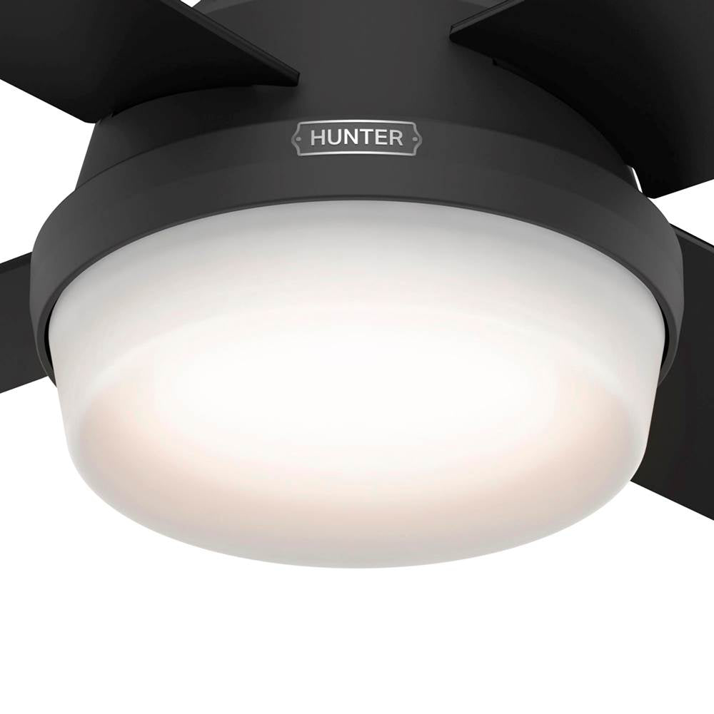 Hunter Dempsey 44 Inch Dempsey Matte Black Ceiling Fan With Led Light Kit And Handheld Remote