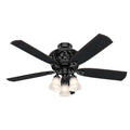 Hunter 59545 Gloss Black 54'' Promenade-gloss Black Image 1