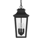Hunter 46084 Matte Black Hunter Spring Cove Matte Black With Clear Glass 3 Light Image 1