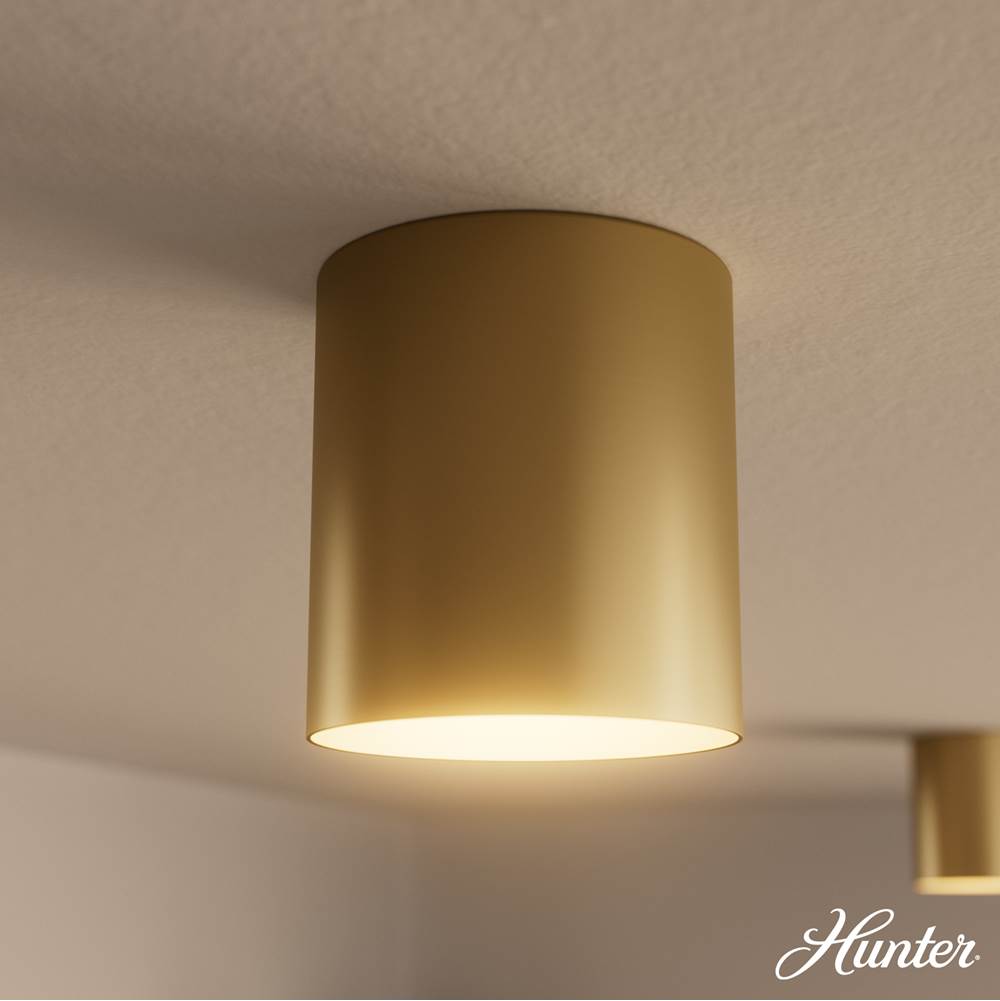 Hunter 13125 Luxe Gold Canoga Luxe Gold 1 Light Small Flush Mount Ceiling Light Fixture Image 3
