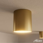 Hunter 13125 Luxe Gold Canoga Luxe Gold 1 Light Small Flush Mount Ceiling Light Fixture Image 3