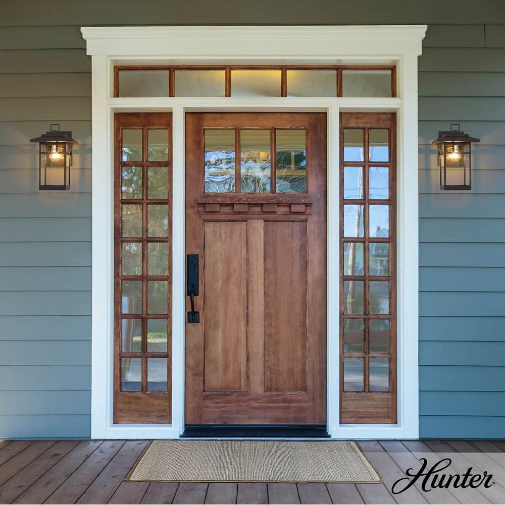 Hunter Yancy House Hunter Yancy House Matte Black With Clear Glass 1 Light