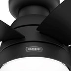 Hunter 52613 Matte Black 44in Lilliana - Flat Matte Black Image 8