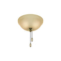 Hunter  3 Led Bowl Light Kit - Frost Amber