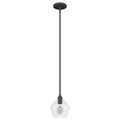 Hunter 19648 Noble Bronze Dunshire 1 Light Pendant 6 Inch Image 1