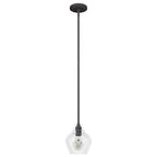 Hunter 19648 Noble Bronze Dunshire 1 Light Pendant 6 Inch Image 1