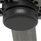 Hunter Burton 52in Burton -flat Matte Black
