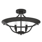 Hunter 19422  Perch Point 4 Light Semi-flush Mount Image 1
