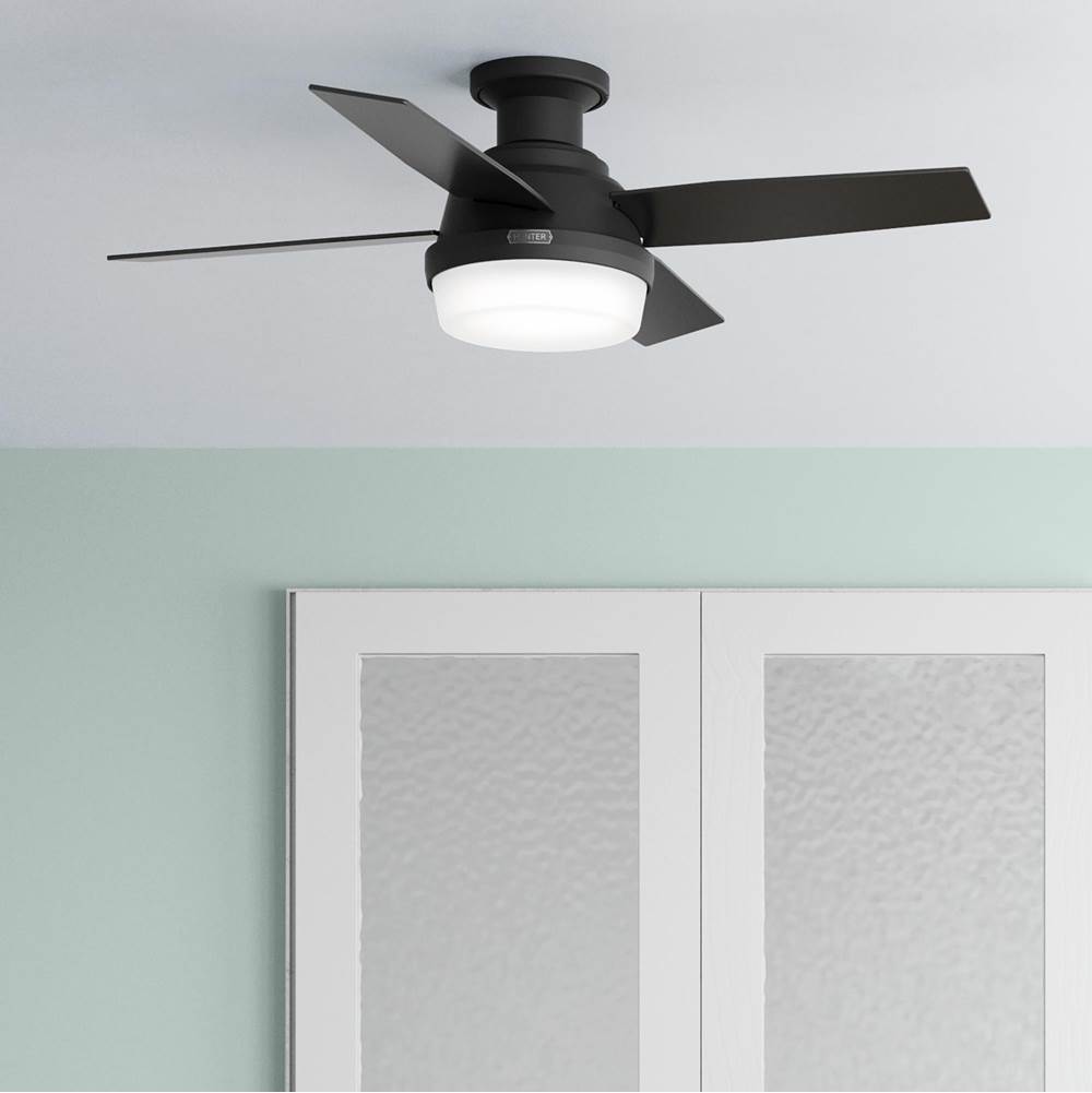 Hunter 52390 Matte Black 44 Inch Dempsey Matte Black Low Profile Ceiling Fan With Led Light Kit And Handheld Remote Image 4