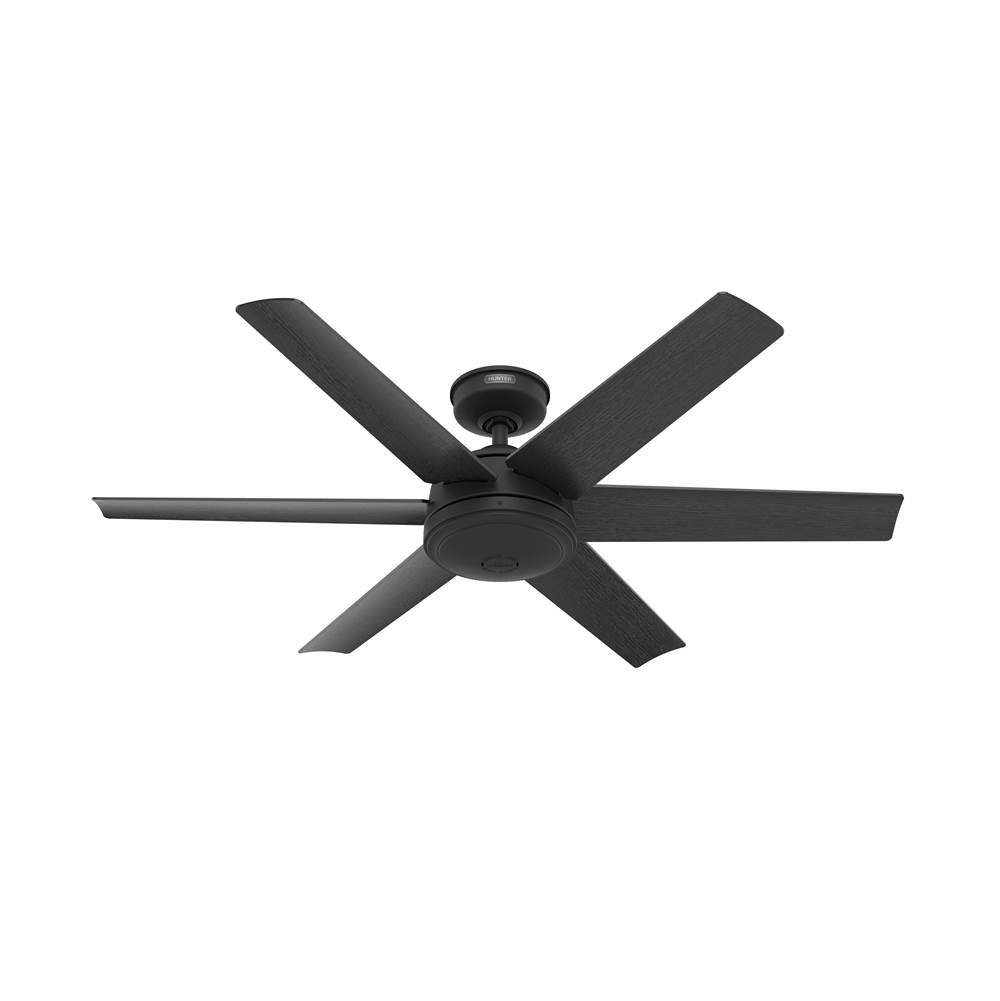 Hunter Jetty Outdoor 52 Inch